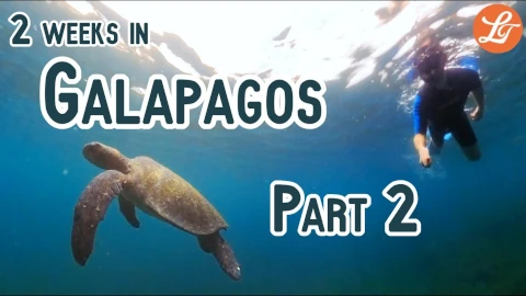 Two weeks in Galápagos (Part 2)